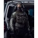Разгрузочный жилет TASMANIAN TIGER - TT Plate Carrier QR LC ZP